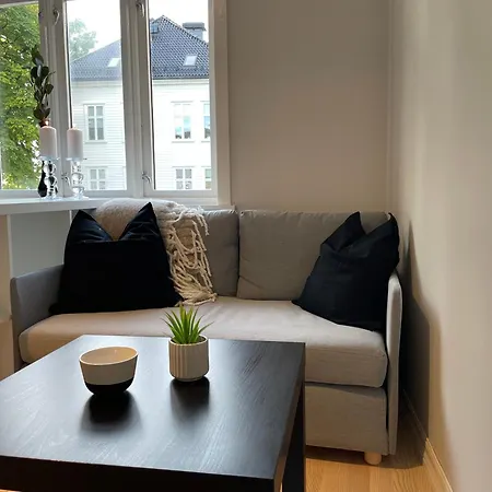 Koselig Og Lun Leilighet Lejlighed *